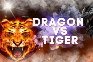 Tame the Tiger-10 Winning Strategies for Playing Dragon Tiger Rummy in